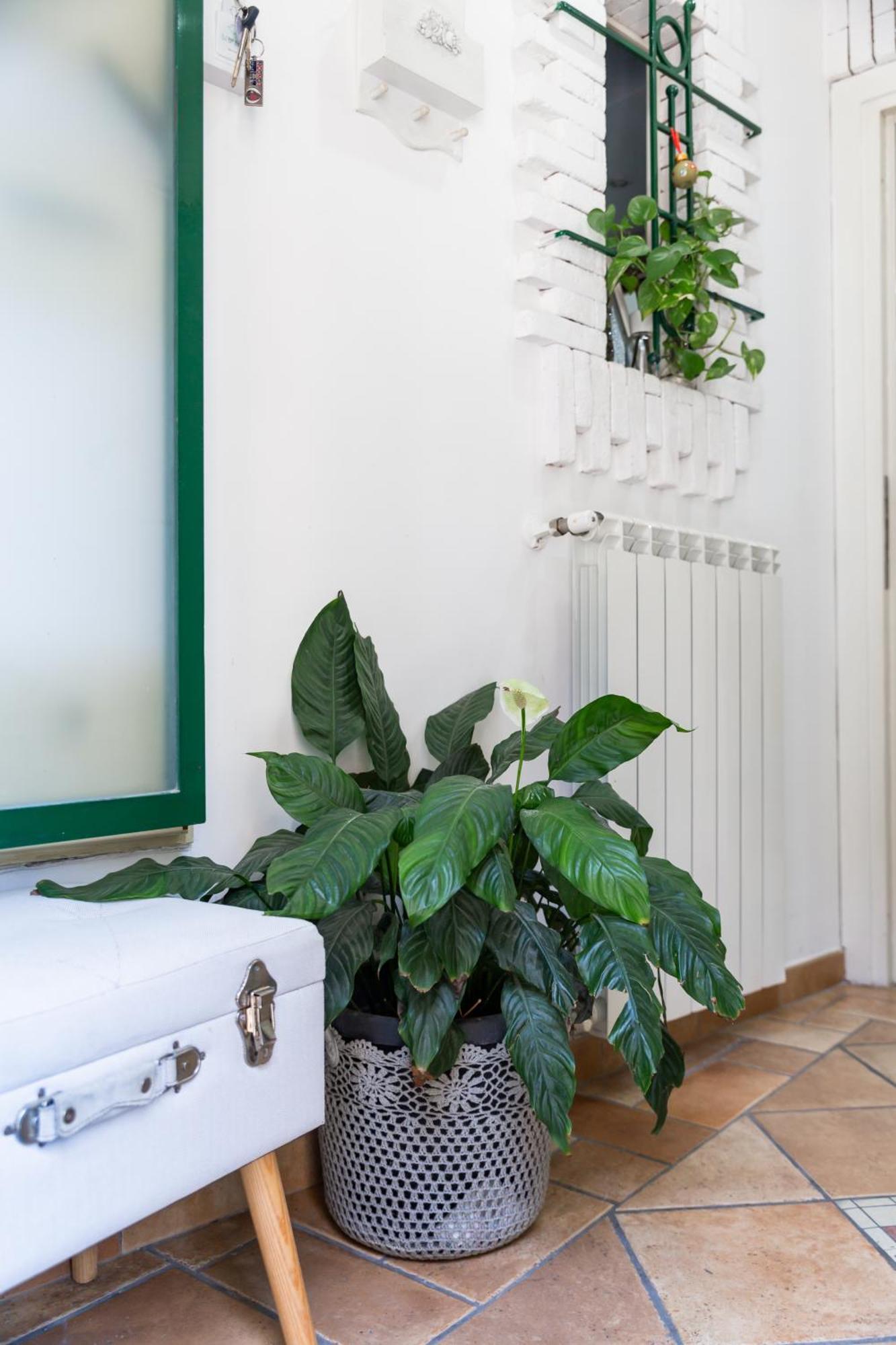 Flavia'S Home Naples Exterior photo